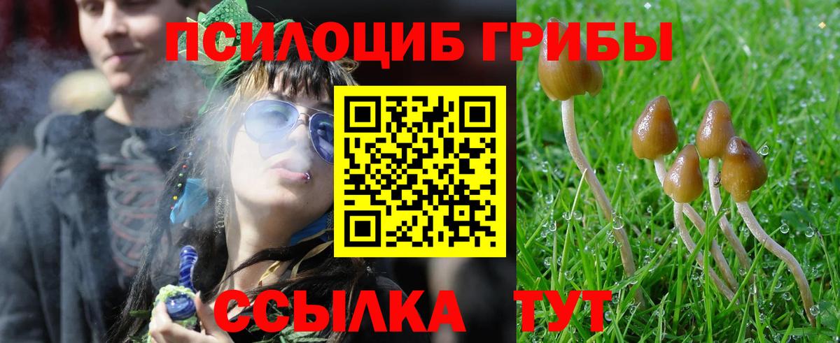 Обнинск  продажа наркотиков  Вход с VPN  Псилоцибиновые грибы прущие грибы 