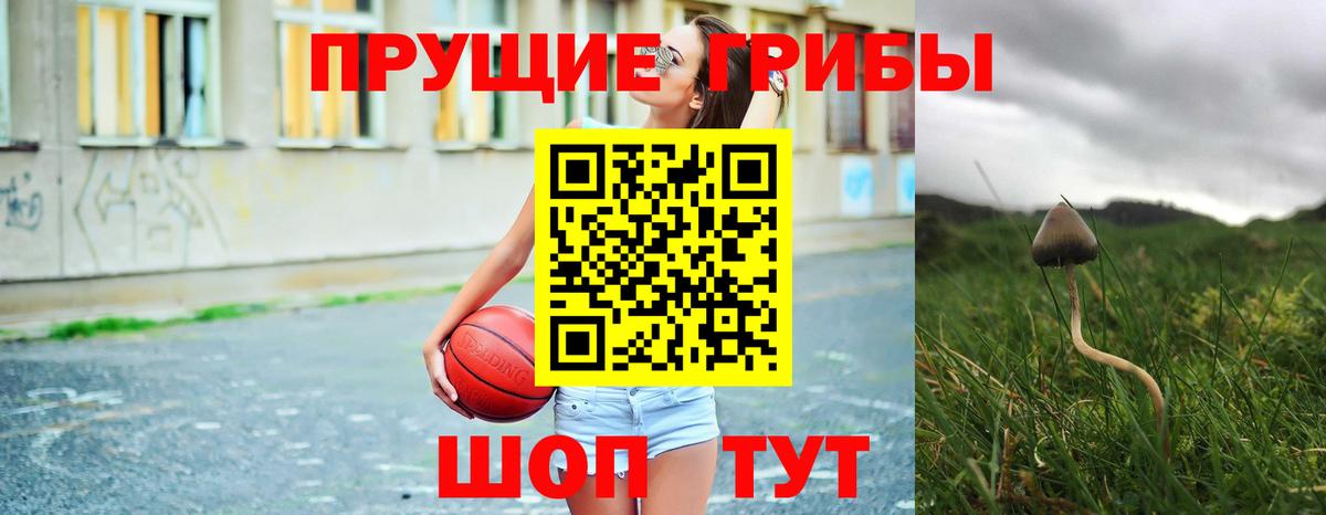 Псилоцибиновые грибы ЛСД Обнинск